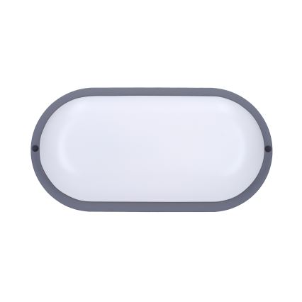 LED Āra sienas lampa LED/13W/230V 4000K IP54 pelēka ovāls
