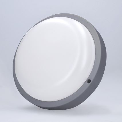 LED Āra sienas lampa LED/13W/230V 4000K IP54 pelēka apaļa