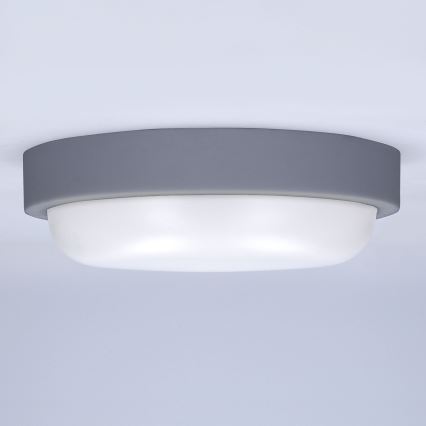LED Āra sienas lampa LED/13W/230V 4000K IP54 pelēka apaļa