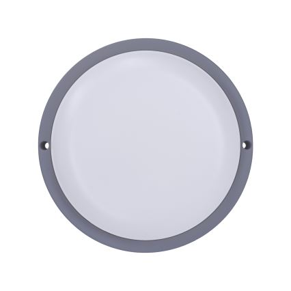 LED Āra sienas lampa LED/13W/230V 4000K IP54 pelēka apaļa