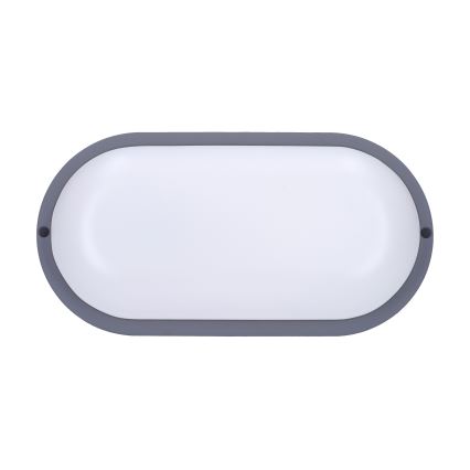 LED Āra sienas lampa LED/20W/230V 4000K IP54 pelēka ovāls