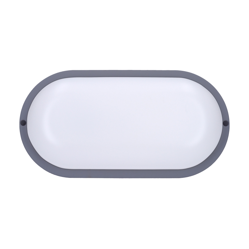 LED Āra sienas lampa LED/20W/230V 4000K IP54 pelēka ovāls
