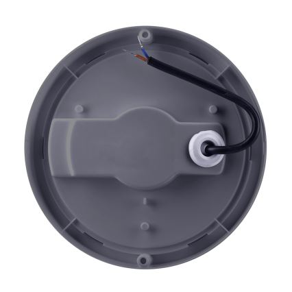 LED Āra sienas lampa LED/20W/230V 4000K IP54 pelēka apaļa