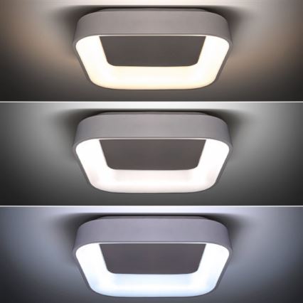 LED Aprumšoajams gaismeklis LED/48W/230V + tālvadības pults