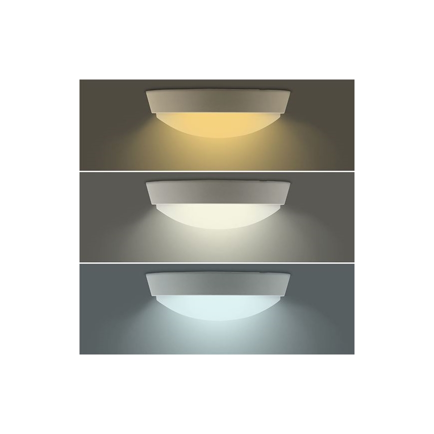 LED āra sienas gaismeklis 2 vienā LED/20W/230V 3000/4000/6500K IP65 Ø 22 cm