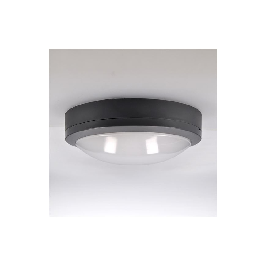 LED Āra griestu lampa ar sensoru SIENA LED/20W/230V 4000K d. 23 cm IP54