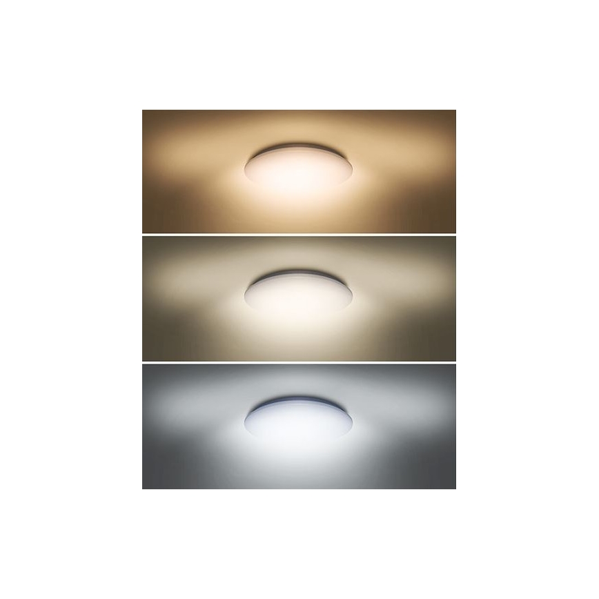LED Griestu gaismeklis PLAIN LED/24W/230V 3000K/4000K/6000K apaļš