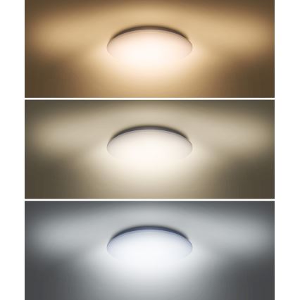 LED Griestu lampa PLAIN LED/36W/230V 3000/4000/6000K apaļa
