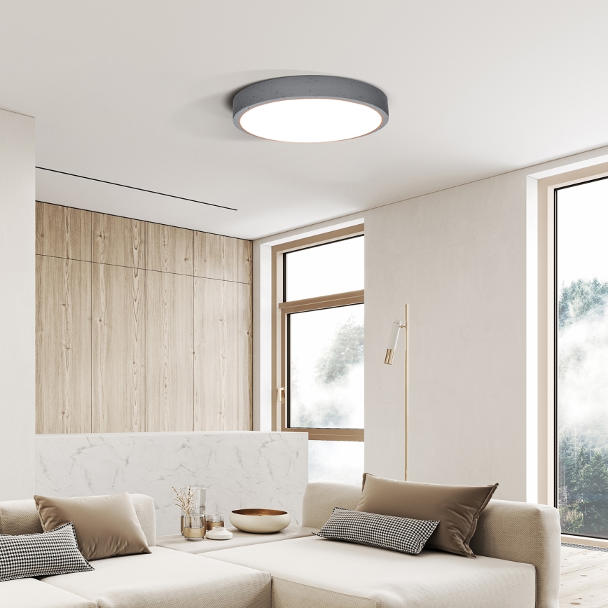LED Aptumšojama griestu lampa GREY LED/60W/230V 3000-6500K pelēka d. 49 cm + tālvadības pults