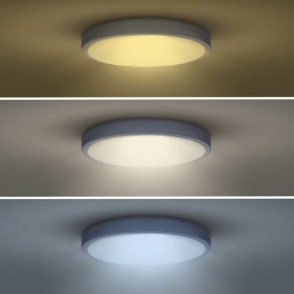 LED Aptumšojama griestu lampa GREY LED/60W/230V 3000-6500K pelēka d. 49 cm + tālvadības pults