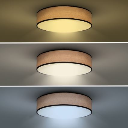 LED Aptumšojama griestu lampa BROWNIE LED/48W/230V 3000-6500K brūna d. 40 cm + tālvadības pults