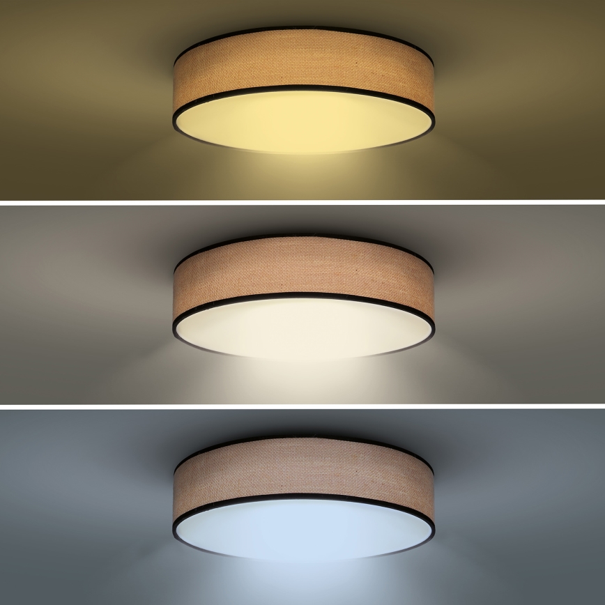 LED Aptumšojama griestu lampa BROWNIE LED/48W/230V 3000-6500K brūna d. 40 cm + tālvadības pults