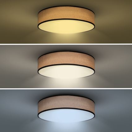 LED Aptumšojama griestu lampa BROWNIE LED/60W/230V 3000-6500K brūna d. 50 cm + tālvadības pults