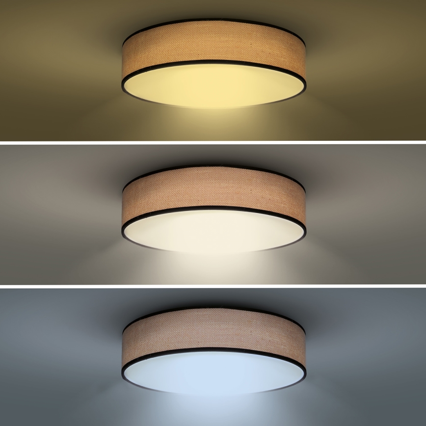 LED Aptumšojama griestu lampa BROWNIE LED/60W/230V 3000-6500K brūna d. 50 cm + tālvadības pults