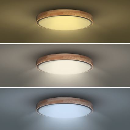 LED Aptumšojama griestu lampa IRON OAK LED/60W/230V 3000-6500K ozols d. 51 cm + tālvadības pults