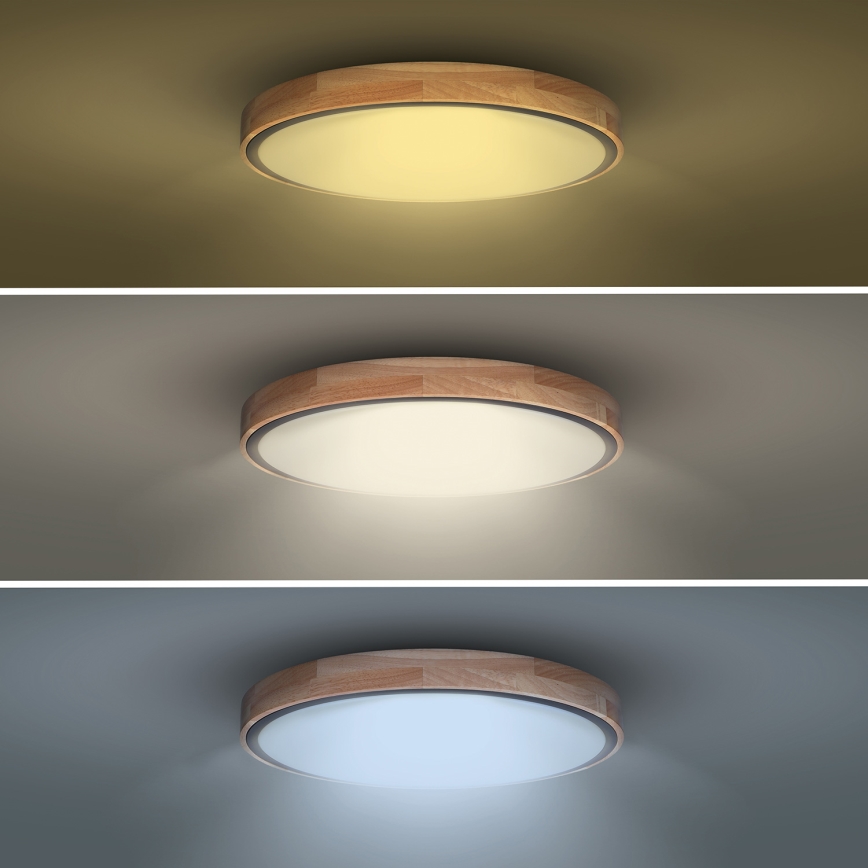 LED Aptumšojama griestu lampa IRON OAK LED/60W/230V 3000-6500K ozols d. 51 cm + tālvadības pults