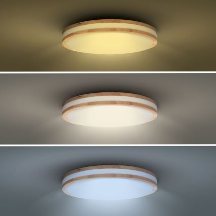 LED Aptumšojama griestu lampa WOODY LED/60W/230V 3000-6500K ozols d. 50 cm + tālvadības pults
