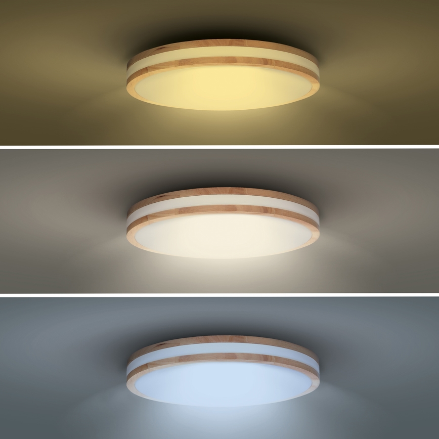 LED Aptumšojama griestu lampa WOODY LED/60W/230V 3000-6500K ozols d. 50 cm + tālvadības pults