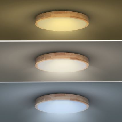 LED Aptumšojama griestu lampa SOLID OAK LED/60W/230V 3000-6500K ozols d. 51 cm + tālvadības pults