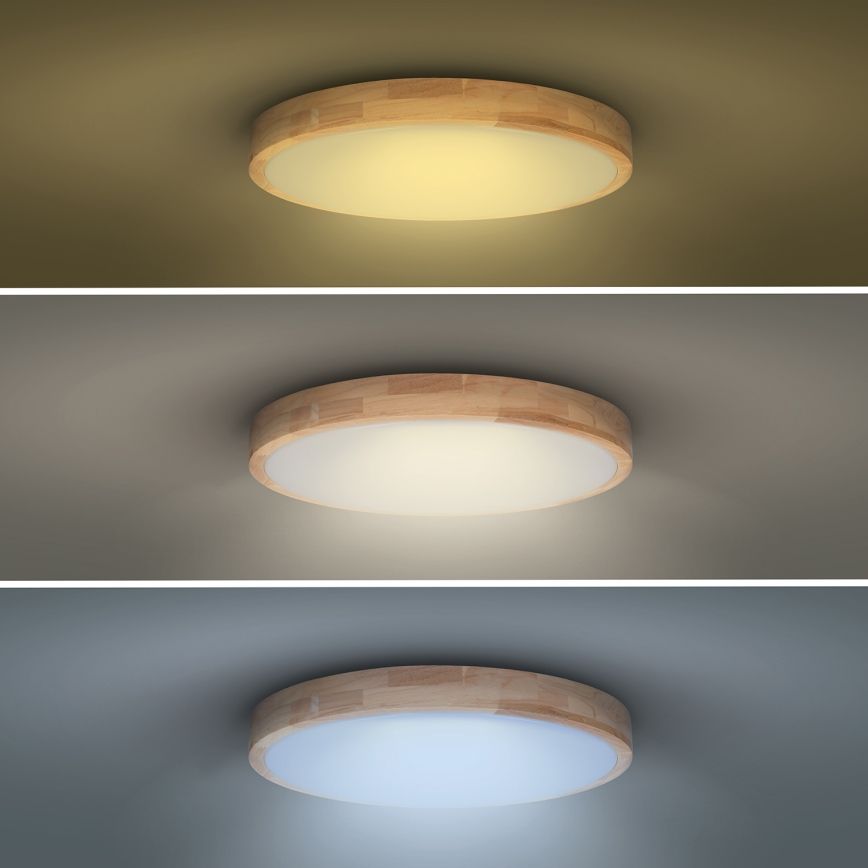 LED Aptumšojama griestu lampa SOLID OAK LED/60W/230V 3000-6500K ozols d. 51 cm + tālvadības pults