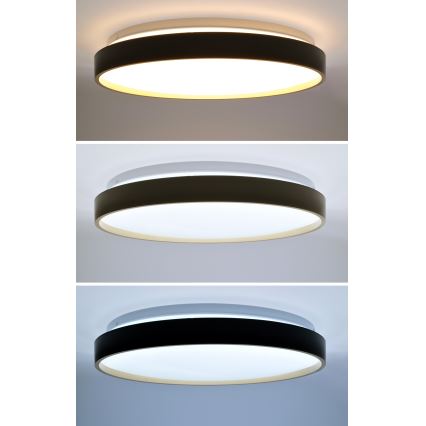 LED Aptumšojama griestu lampa CALA LED/48W/230V 3000-6500K melna/zelta + tālvadības pults