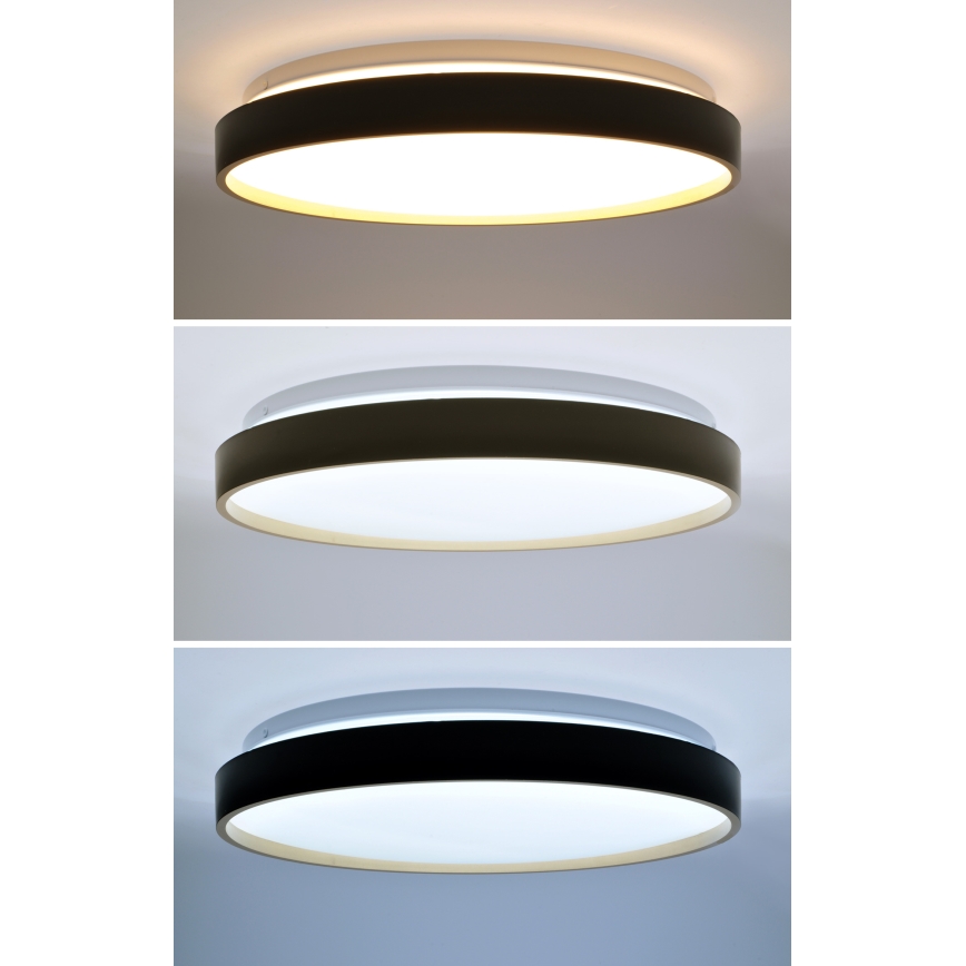 LED Aptumšojama griestu lampa CALA LED/48W/230V 3000-6500K melna/zelta + tālvadības pults