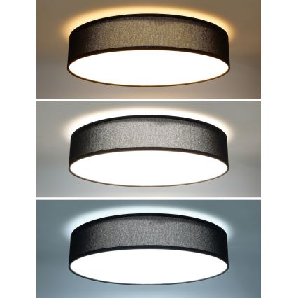 LED Aptumšojama griestu lampa PENLEY LED/48W/230V 3000-6500K d. 40 cm melna + tālvadības pults