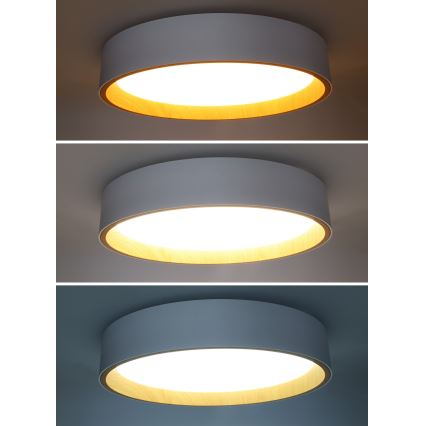 LED Aptumšojama griestu lampa LARIOS LED/48W/230V 3000-6500K d. 39 cm balta + tālvadības pults
