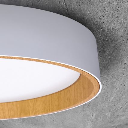 LED Aptumšojama griestu lampa LARIOS LED/48W/230V 3000-6500K d. 39 cm balta + tālvadības pults