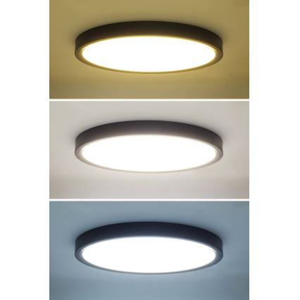 LED Aptumšojama griestu lampa ESTELA LED/36W/230V d. 30 cm melna + tālvadības pults