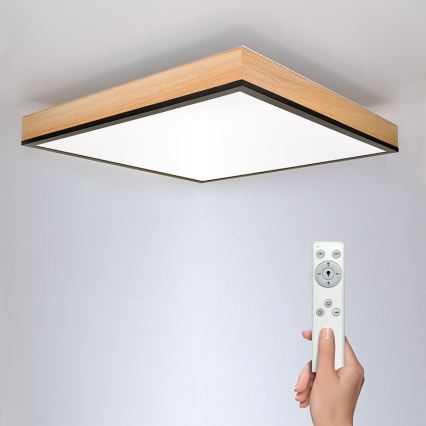 LED Aptumšojama griestu lampa LED/40W/230V 3000-6500K + tālvadības pults