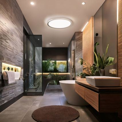 LED vannas istabas griestu lampa ACATE LED/18W/230V 3000/4000/6000K Ø 22 cm IP54