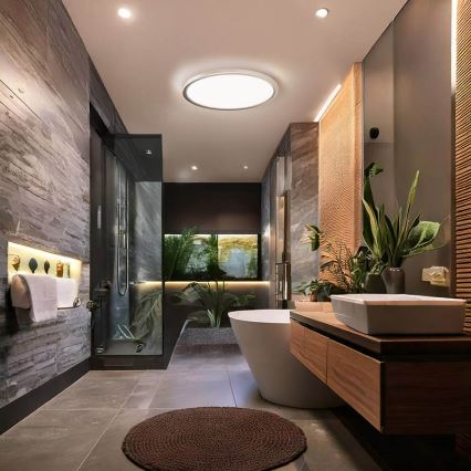 LED griestu gaismeklis vannas istabai ACATE, 24 W, 230 V, 3000/4000/6000 K, Ø 29,3 cm, IP54