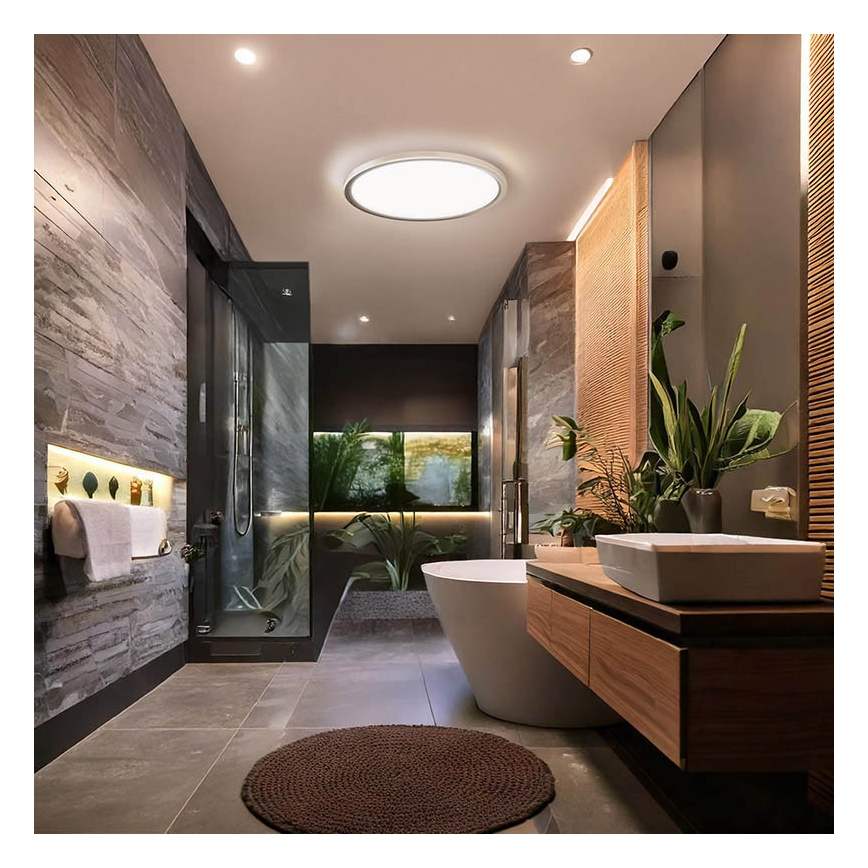 LED griestu gaismeklis vannas istabai ACATE, 24 W, 230 V, 3000/4000/6000 K, Ø 29,3 cm, IP54