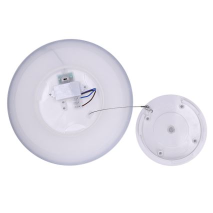 LED griestu gaismeklis vannas istabai ACATE, 24 W, 230 V, 3000/4000/6000 K, Ø 29,3 cm, IP54