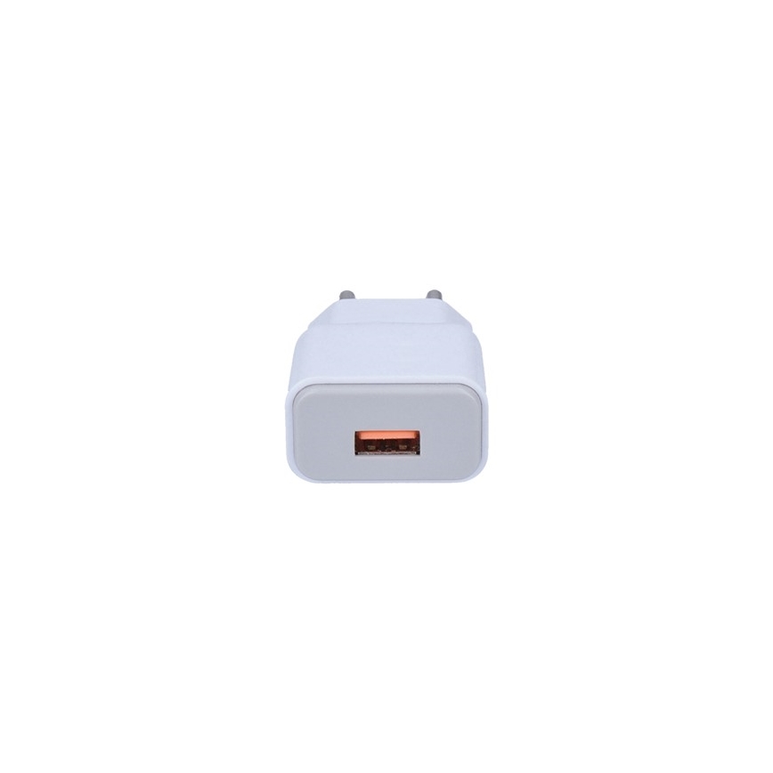 USB Lādētāju adapteris 1xUSB/230V