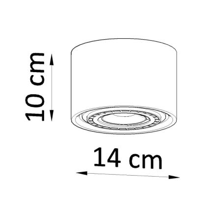 Griestu lampa BASIC AR111 1xGU10/40W/230V dižskābardis