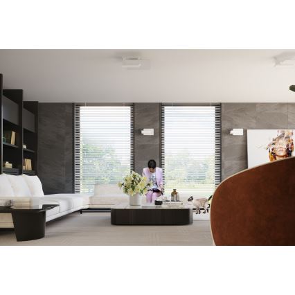 Griestu lampa LAPPO 2xE27/15W/230V balta