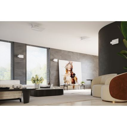 Griestu lampa LAPPO 2xE27/15W/230V balta