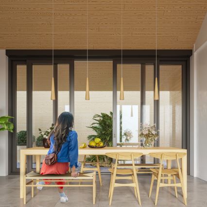 Piekaramā lampa SULA uz troses 1xGU10/10W/230V Ø 8 cm bēša