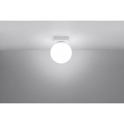 Griestu lampa YOLI 1xG9/12W/230V balta