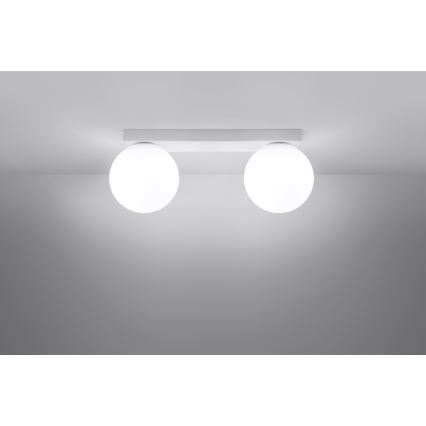 Griestu lampa YOLI 2xG9/12W/230V balta