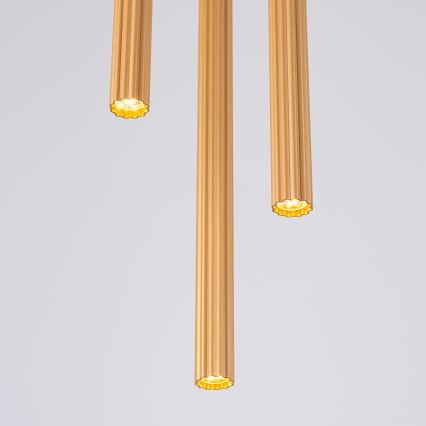 Lustra ar auklu ARCHE 3xG9/8W/230V zelta