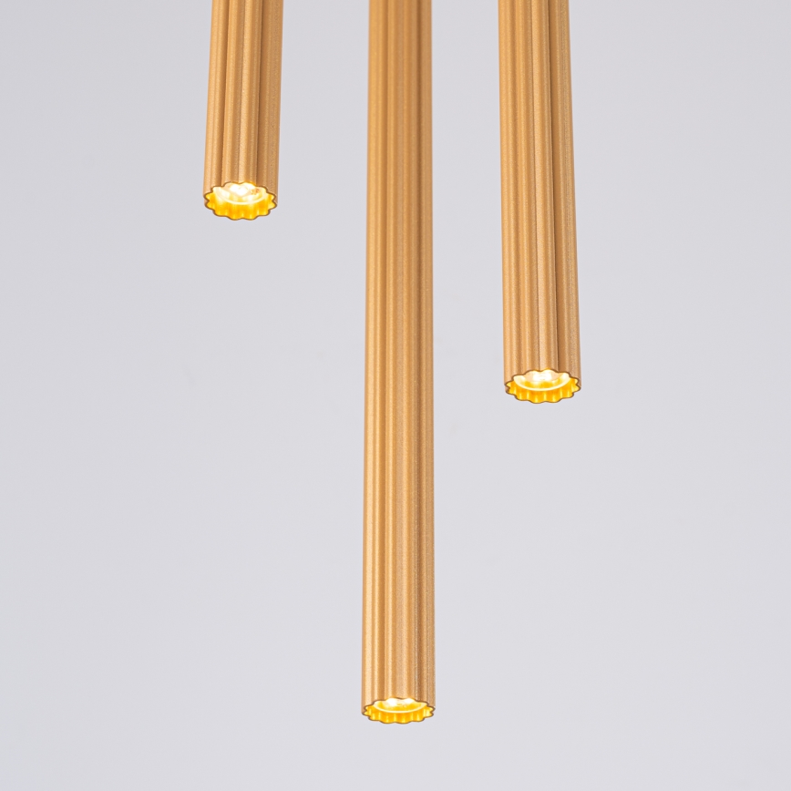 Lustra ar auklu ARCHE 3xG9/8W/230V zelta