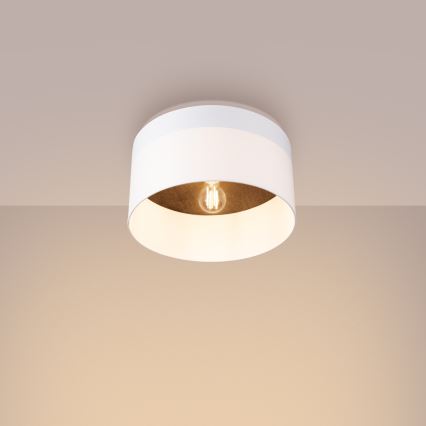 Griestu lampa TELESTO 1xE27/15W/230V d. 35 cm balta/brūna