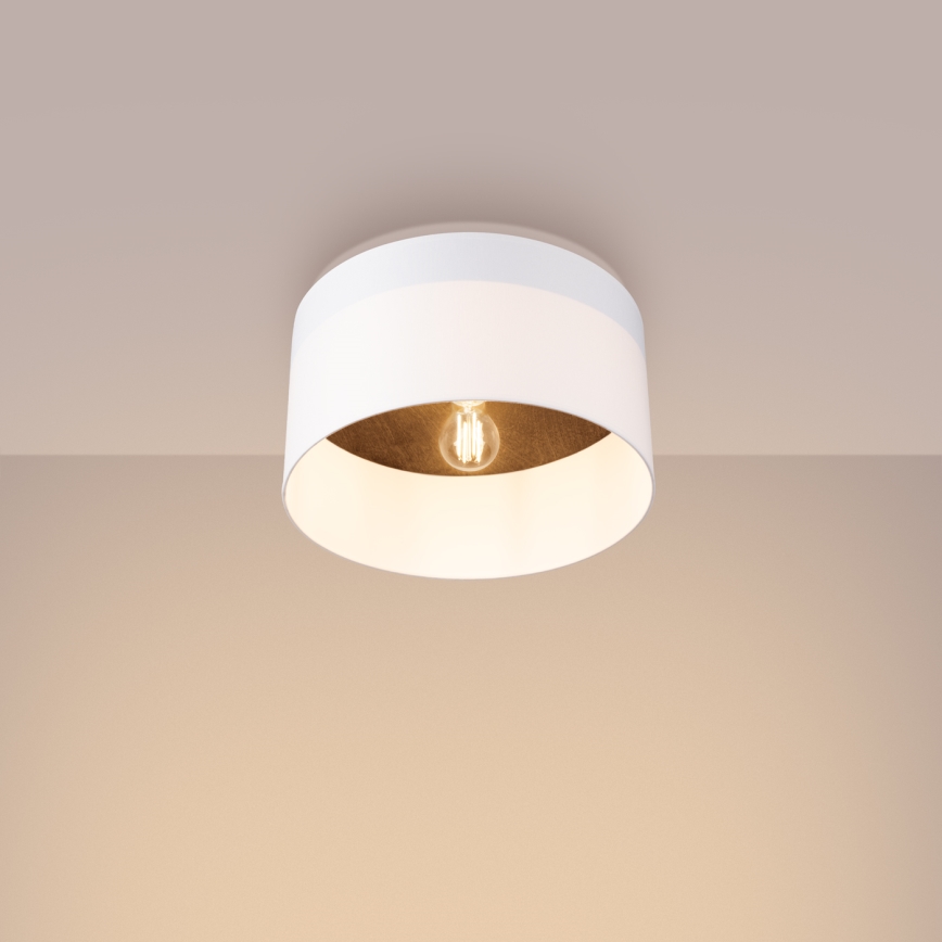 Griestu lampa TELESTO 1xE27/15W/230V d. 35 cm balta/brūna