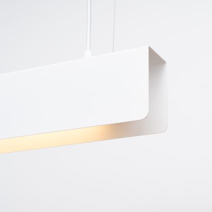 LED Lustra ar auklu SPARK 1xG13/8,5W/230V balta