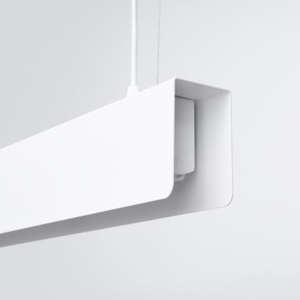 LED Lustra ar auklu SPARK 1xG13/8,5W/230V balta