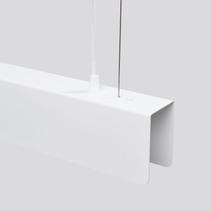 LED Lustra ar auklu SPARK 1xG13/8,5W/230V balta