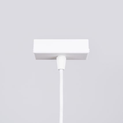 LED Lustra ar auklu SPARK 1xG13/8,5W/230V balta